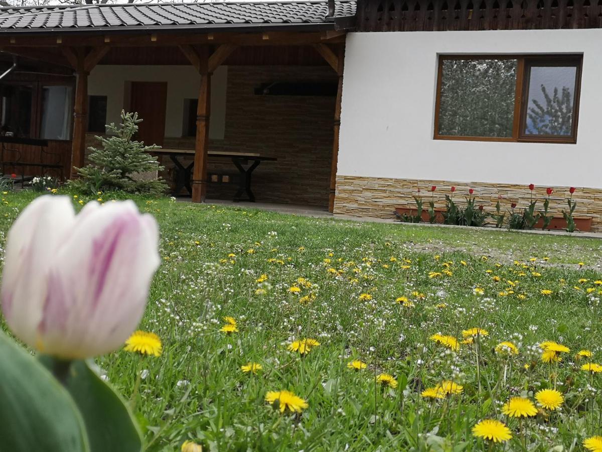 Casa Livada Bunicii Villa ตือร์กูออกนา ภายนอก รูปภาพ