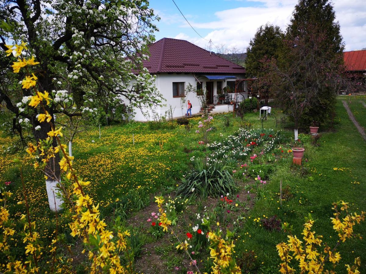 Casa Livada Bunicii Villa ตือร์กูออกนา ภายนอก รูปภาพ